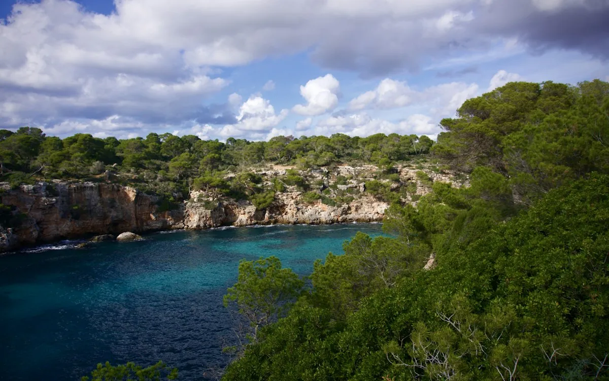 Turquoise cove surrounded by pine trees, Spain